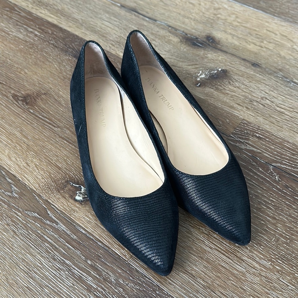 Pointed Toe Ballet Flats